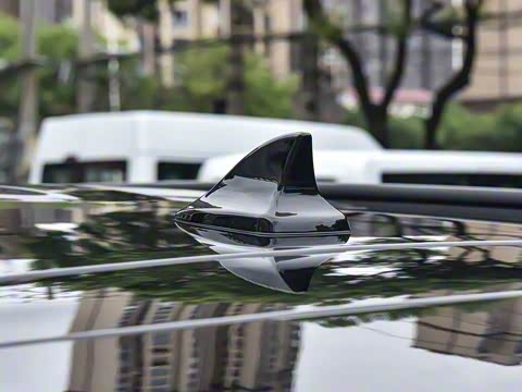 2025�� EcoBoost 170 �Ķ���