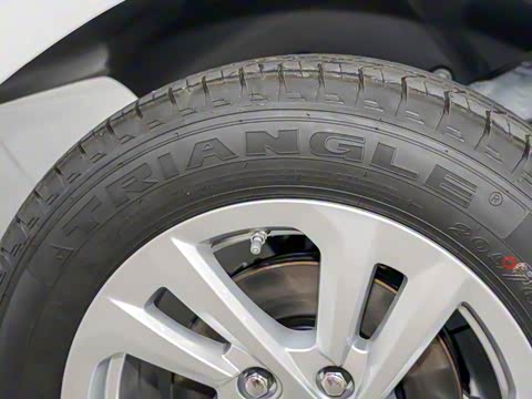 2025�� 365KM ������ 7��