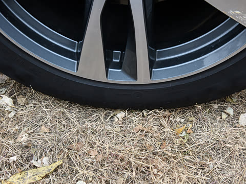 2023�� Avant �ȷ��� 45 TFSI ��ѡ������