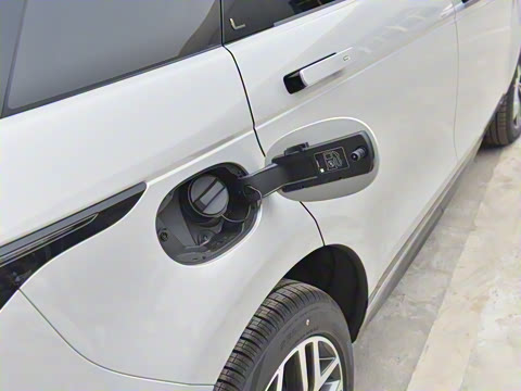 2021�� ����L P300e ������