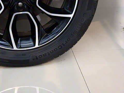 2019�� TSI330 ���������� ��VI