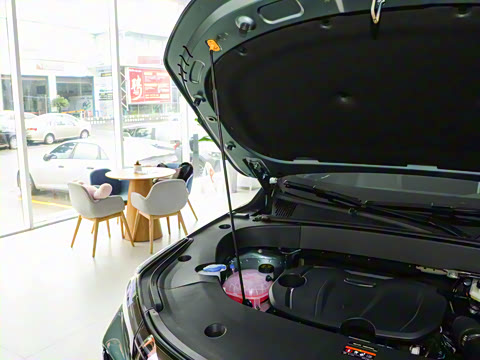 2025�� ���Ĵ� 1.5TD DCT �﷫