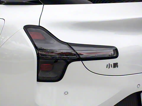 2025�� 600 �������� Max