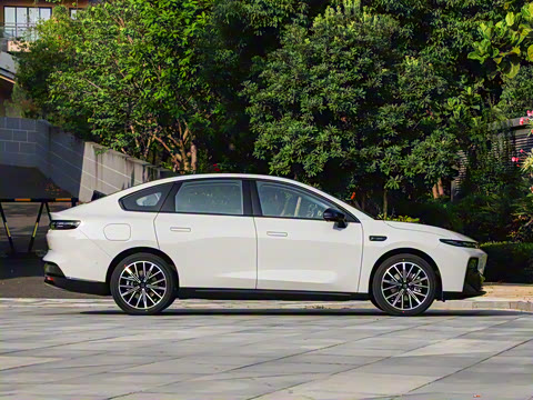 2025�� 650������