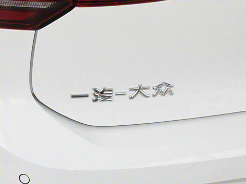 2025�� �Ŀ� 300TSI Pro