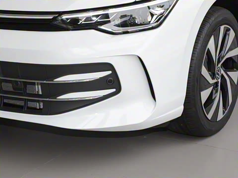 2025�� �Ŀ� 300TSI Pro