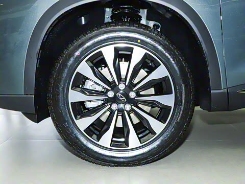 2025�� 290TGDI DCT�˷�� 