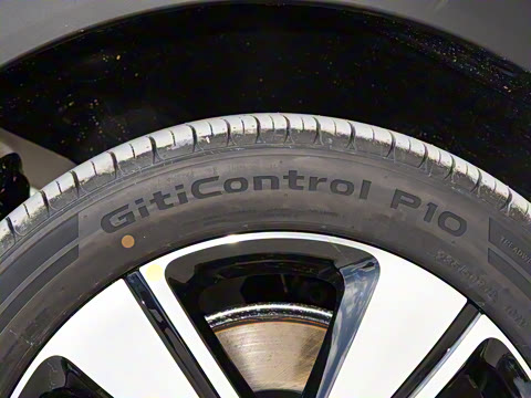 2026�� �鶯��������