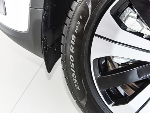 2023�� ��������