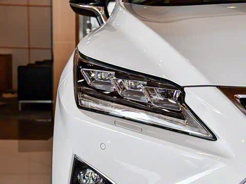 2017�� 300 Mark Levinson ����F SPORT�� ��V