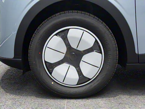 2025�� 310km �ഺ��