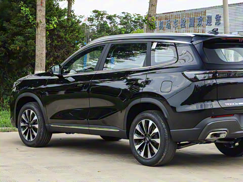 2025�� 290TGDI DCT�˷�� 7��