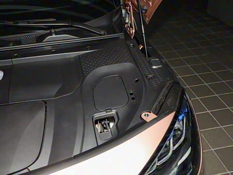 2026�� �鶯��������