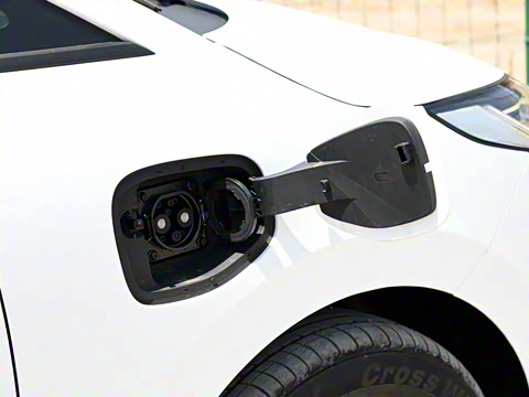 2022�� ���ʰ�