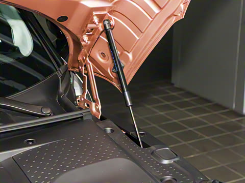 2026�� �鶯��������