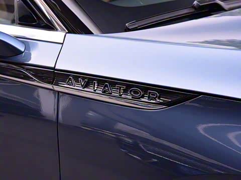 2020�� 3.0T V6 ������ͳ��