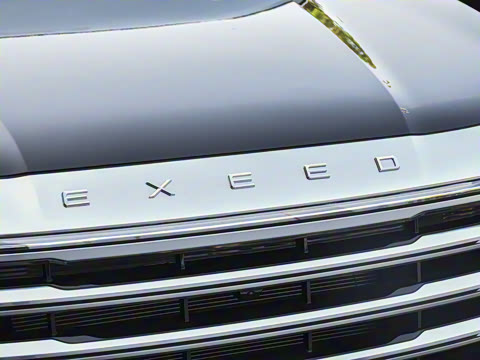 2021�� 390T ������ҫ��������