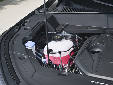 2025�� 55km ������