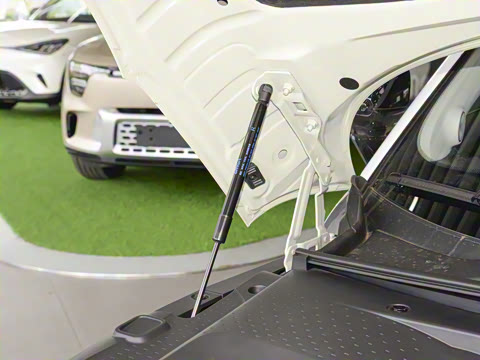 2026�� �鶯������