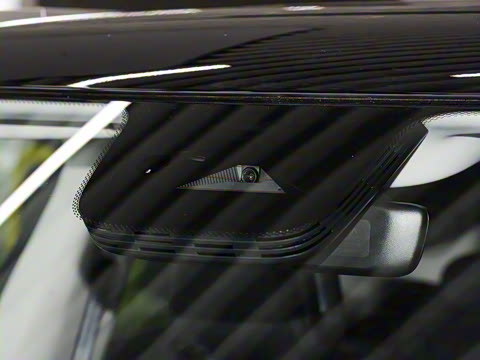 2026�� �鶯������