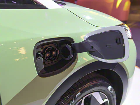 2021�� �촴��