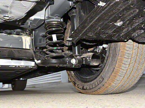 2022�� Plus 70 �����