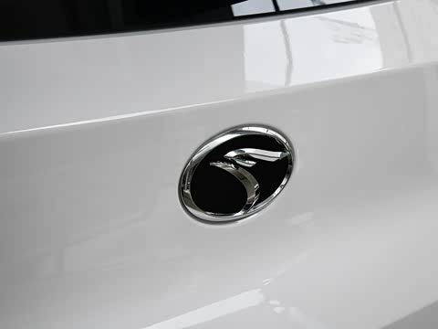 2019�� 1.5T CVT������ ��VI