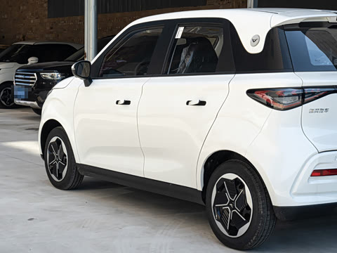 2026�� Mate 305km ����̤�˰�