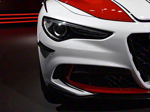 2019�� 2.9T 510HP F1������