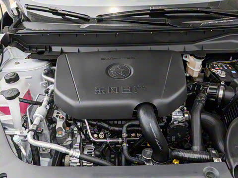 2026�� 260T ������ Pro