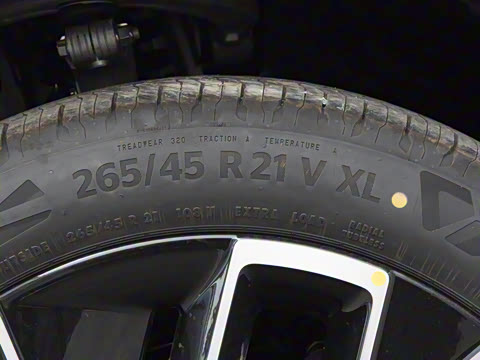 2025�� Max ���������