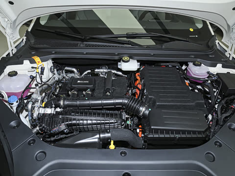 2025�� DM-i 80KM�����