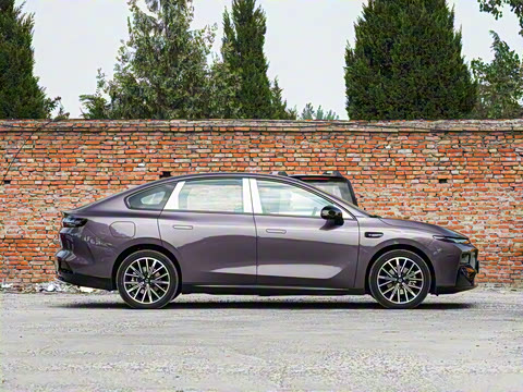 2025�� 650������