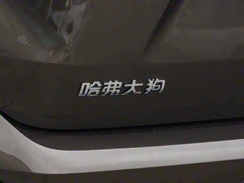 2023�� 2.0T ������ҰPlus