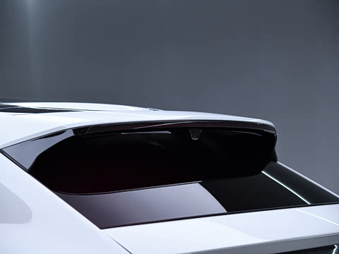 2023�� ����������Max��