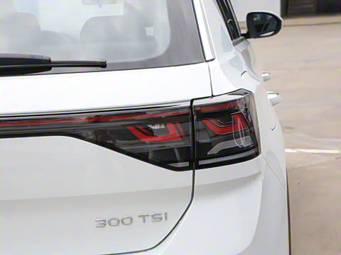 2025�� �Ŀ�� 300TSI DSG���������