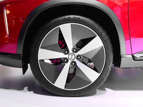 2019�� ������