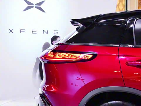 2019�� ������