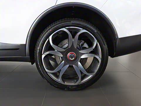 2020�� PHEV�˶���