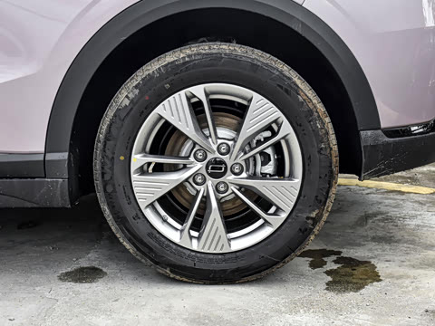 2025�� 445km ��ѡ��