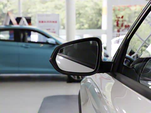 2020�� 230T �Զ�ԽĿ��