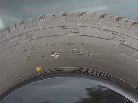 2021�� ���а� 2.0T ������