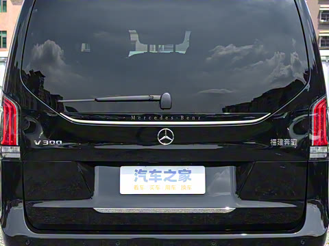 2025�� V 300 �캽��