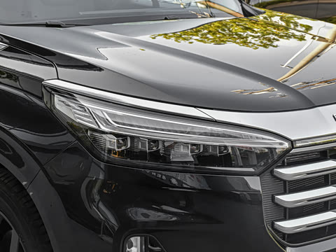 2021�� 390T ������ҫ��������