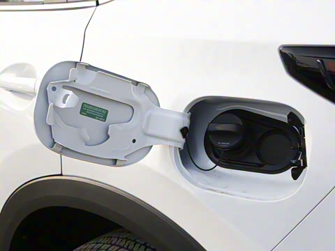 2022�� 2.0L �Զ�����������