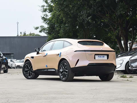 2025�� Max �����