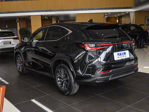 2025�� 260 ǰ�� �ر��