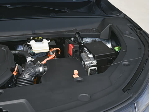 2025�� 55km ������