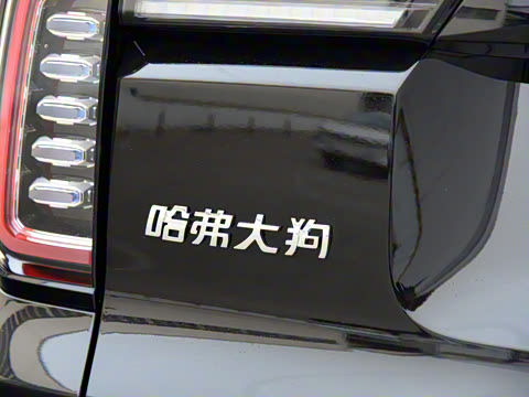 2021�� 1.5T DCT����������