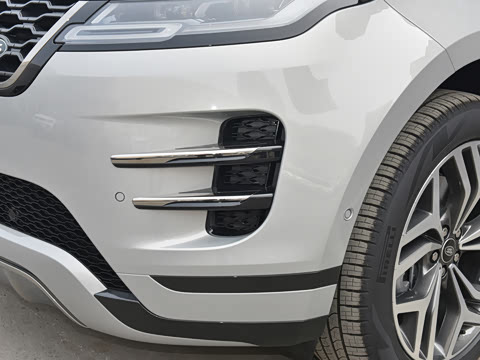 2021�� ����L P300e ������